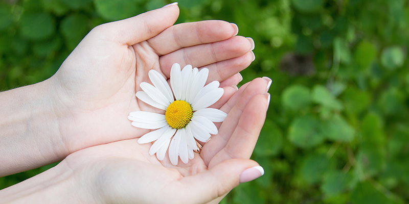 CR-WellnessWomensHealth